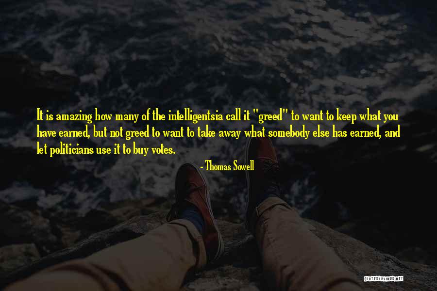 Leontis Landscaping Quotes By Thomas Sowell Leontis Landscaping Quotes By Thomas Sowell