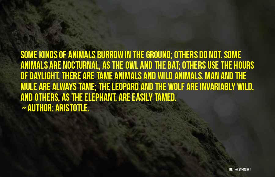 Leopard Quotes By Aristotle.