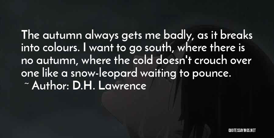 Leopard Quotes By D.H. Lawrence