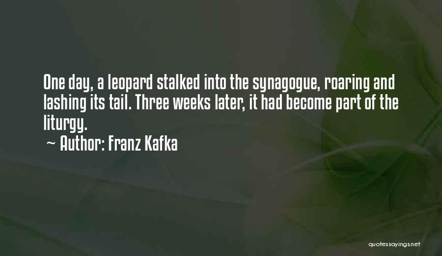 Leopard Quotes By Franz Kafka
