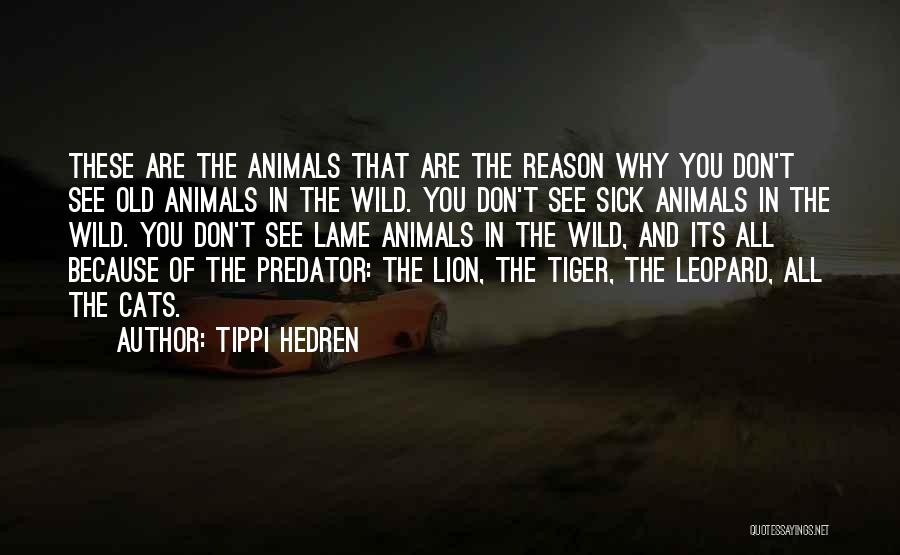 Leopard Quotes By Tippi Hedren