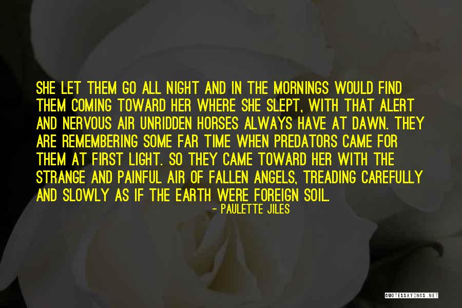 Leorio Paladiknight Quotes By Paulette Jiles Leorio Paladiknight Quotes By Paulette Jiles