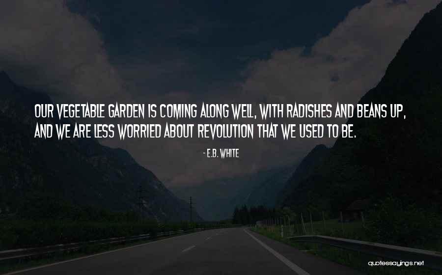 Lep T S Quotes By E.B. White Lep T S Quotes By E.B. White