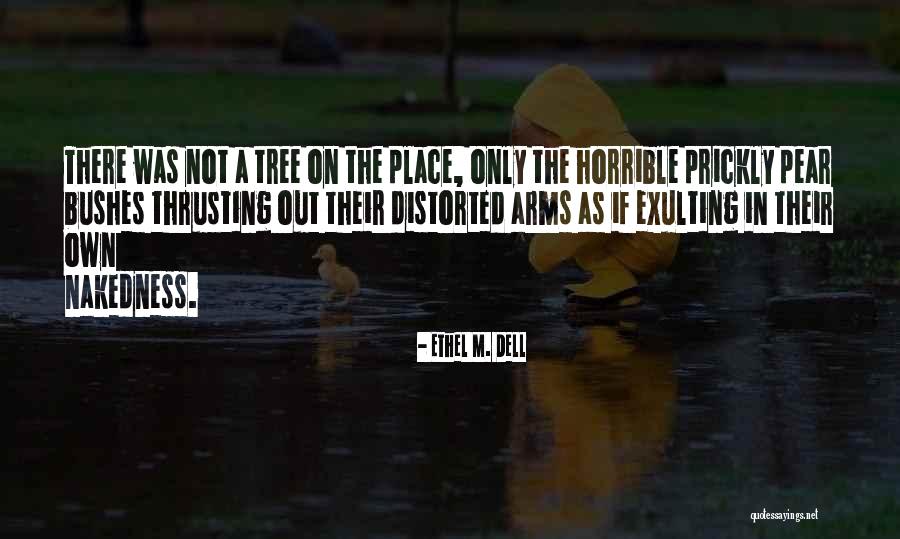 Leped K Nyelv Quotes By Ethel M. Dell Leped K Nyelv Quotes By Ethel M. Dell