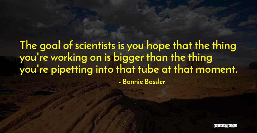 Lepidoptera Insects Quotes By Bonnie Bassler Lepidoptera Insects Quotes By Bonnie Bassler