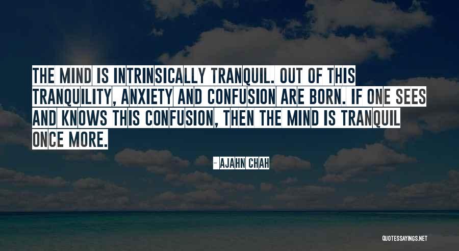 Lepljiva Stolica Quotes By Ajahn Chah Lepljiva Stolica Quotes By Ajahn Chah