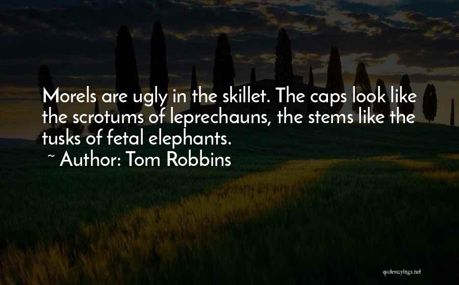 Leprechauns Quotes By Tom Robbins