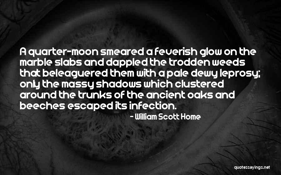 Leprosy Quotes By William Scott Home Leprosy Quotes By William Scott Home