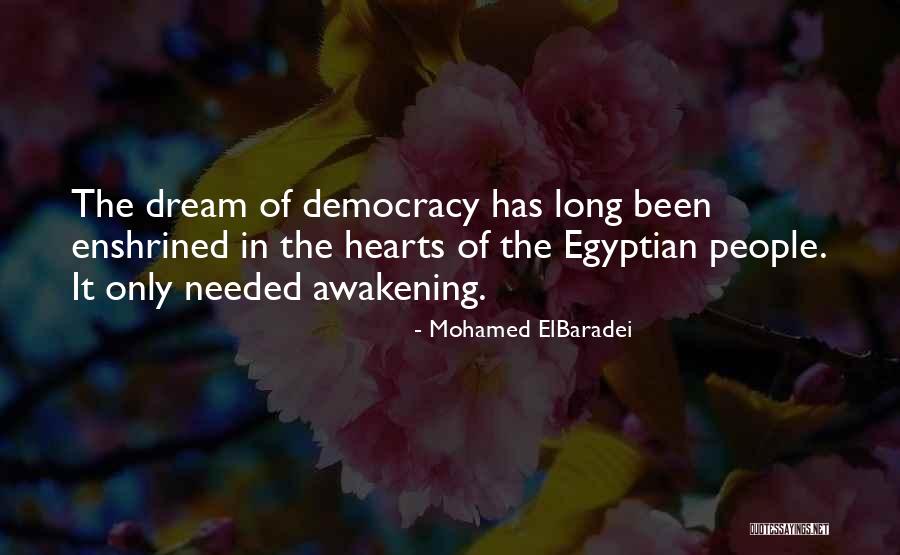 Lerdal Ikea Quotes By Mohamed ElBaradei Lerdal Ikea Quotes By Mohamed ElBaradei