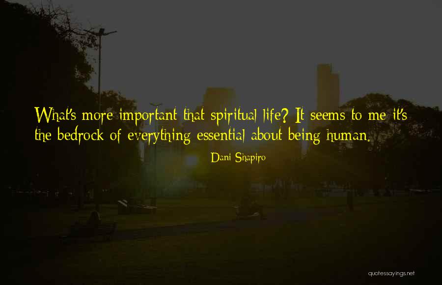 Les Feldick Quotes By Dani Shapiro Les Feldick Quotes By Dani Shapiro