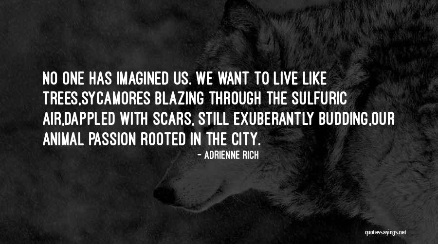 Lesbian Love Quotes By Adrienne Rich Lesbian Love Quotes By Adrienne Rich