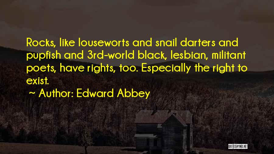 Lesbian Rights Quotes By Edward Abbey