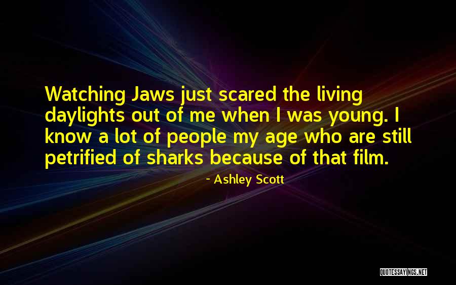 Lesche Quotes By Ashley Scott Lesche Quotes By Ashley Scott