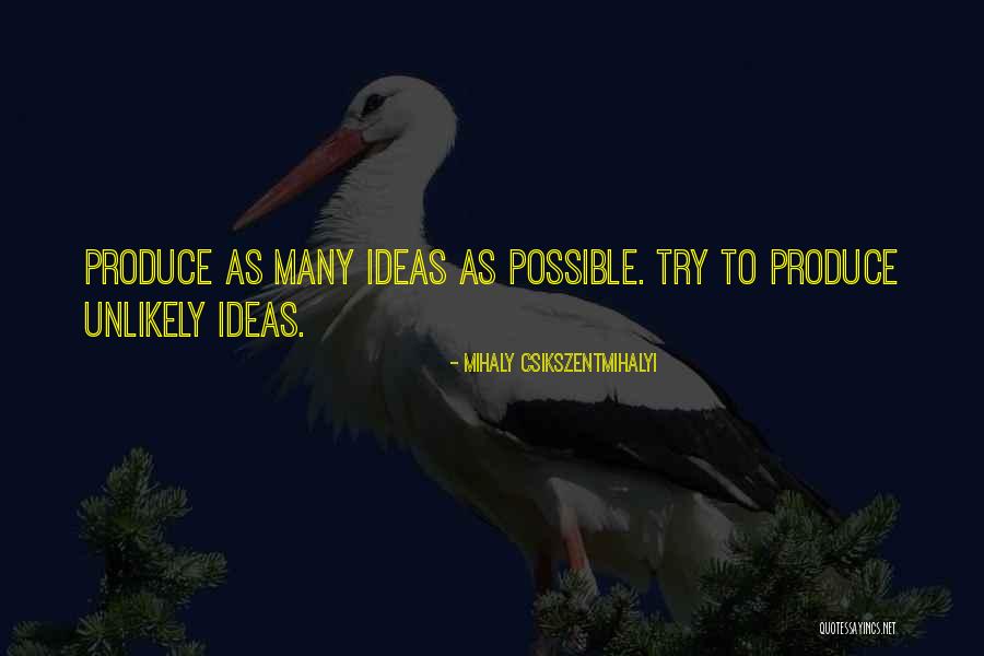 Leshem Yichud Quotes By Mihaly Csikszentmihalyi Leshem Yichud Quotes By Mihaly Csikszentmihalyi