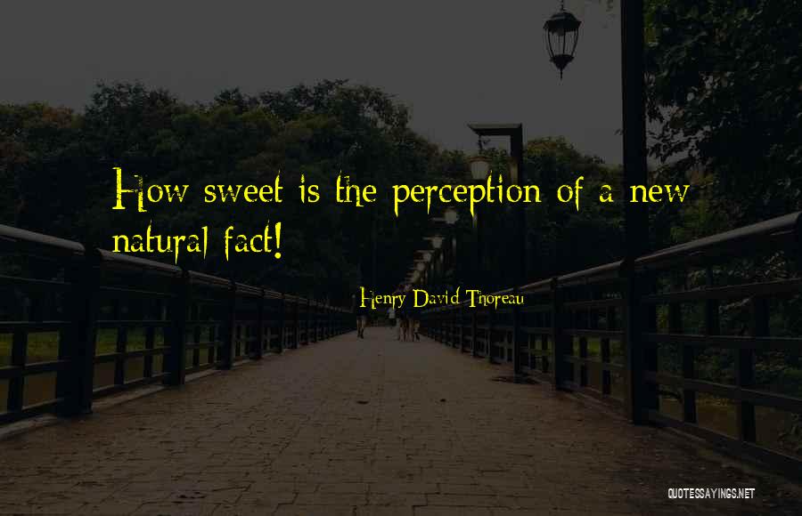 Lesinski Family Dental Quotes By Henry David Thoreau Lesinski Family Dental Quotes By Henry David Thoreau