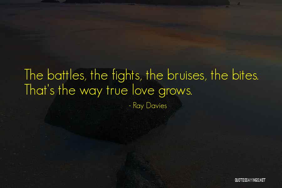 Lesleys Patterns Quotes By Ray Davies Lesleys Patterns Quotes By Ray Davies