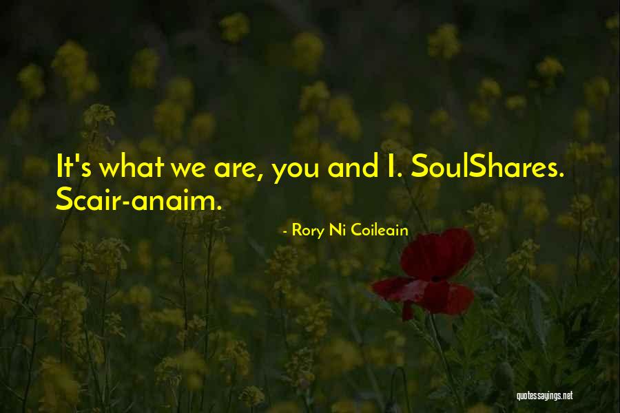 Leslie Stahl Quotes By Rory Ni Coileain Leslie Stahl Quotes By Rory Ni Coileain