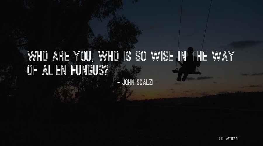 Lesneski Tawas Quotes By John Scalzi