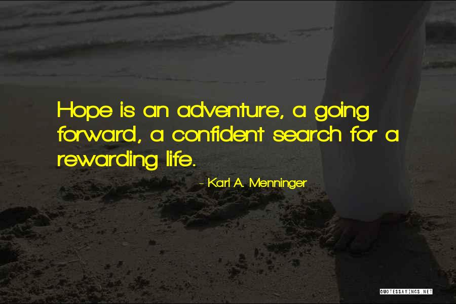 Lesquin Aeroport Quotes By Karl A. Menninger