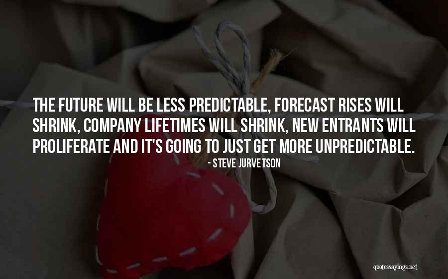 Less And More Quotes By Steve Jurvetson