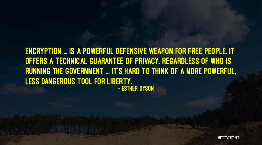 Less Government Quotes By Esther Dyson