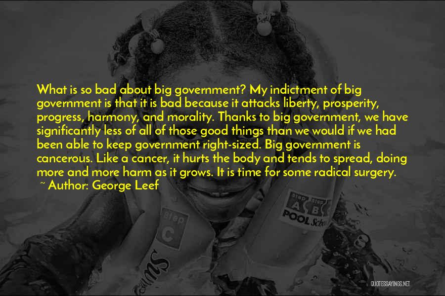 Less Government Quotes By George Leef