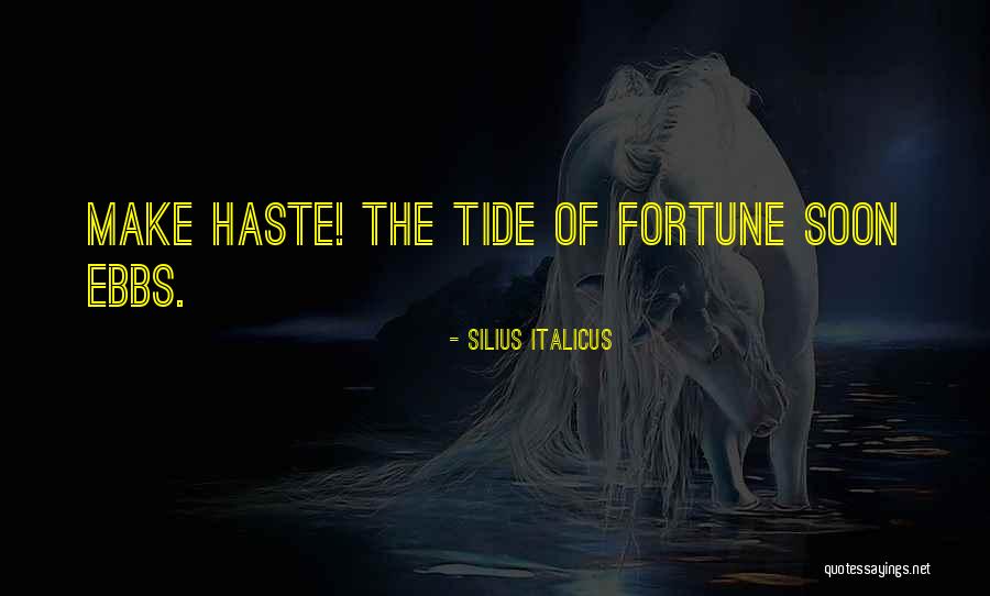 Less Haste Quotes By Silius Italicus Less Haste Quotes By Silius Italicus