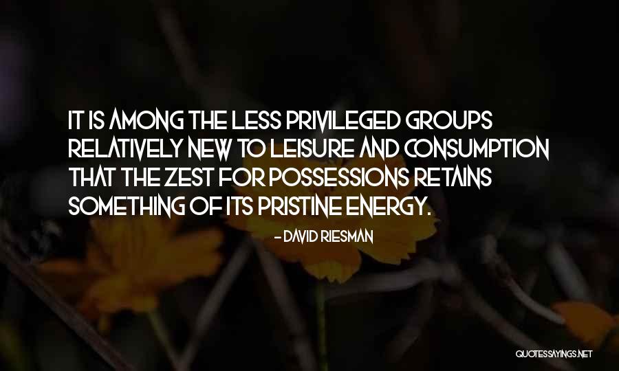 Less Privileged Quotes By David Riesman Less Privileged Quotes By David Riesman