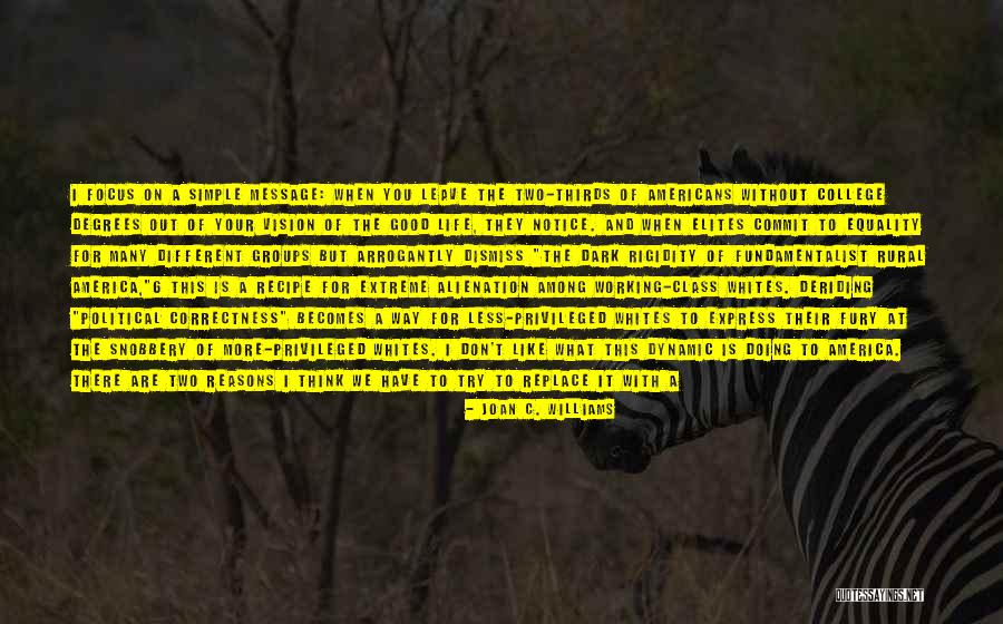 Less Privileged Quotes By Joan C. Williams Less Privileged Quotes By Joan C. Williams