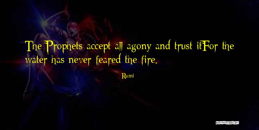 Less Prophets Quotes By Rumi Less Prophets Quotes By Rumi