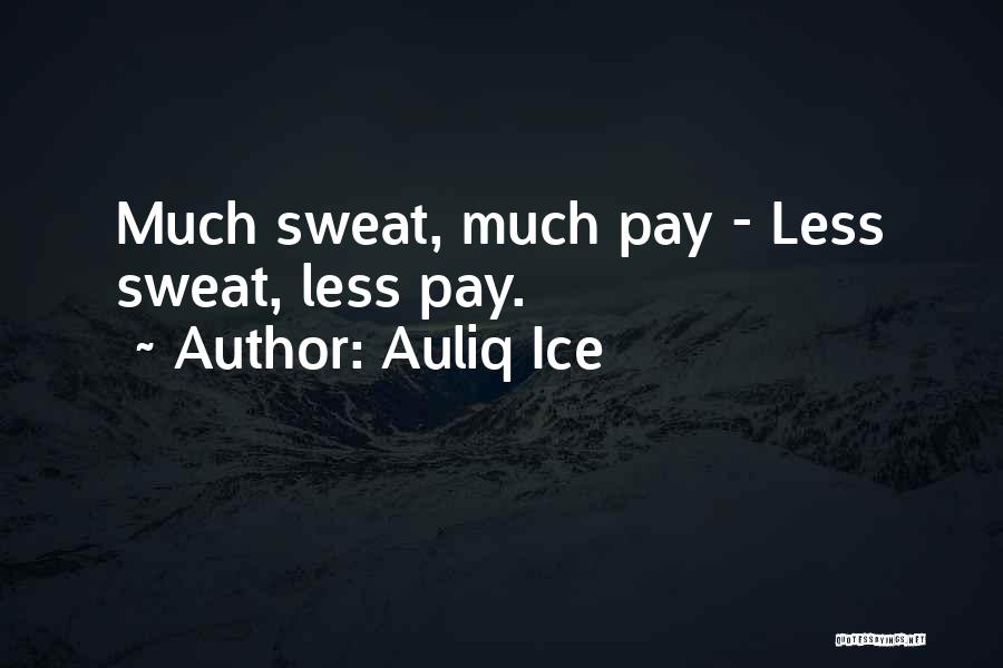 Less Salary Quotes By Auliq Ice
