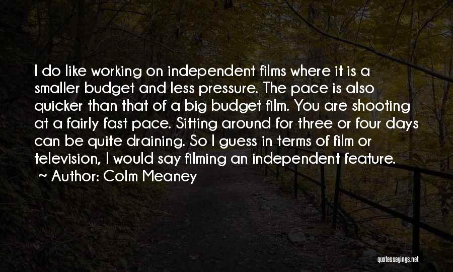 Less Than Three Quotes By Colm Meaney
