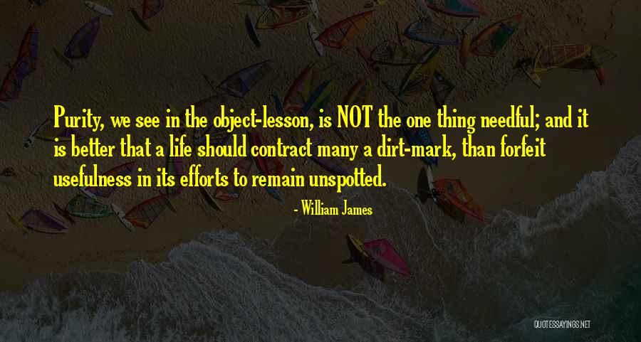 Lesson In Life Quotes By William James Lesson In Life Quotes By William James