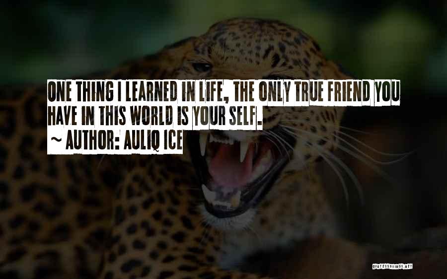 Lesson Learned In Life Quotes By Auliq Ice