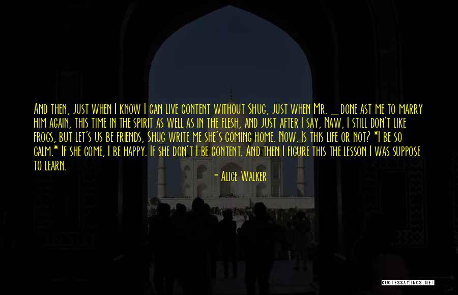 Lesson To Learn In Life Quotes By Alice Walker Lesson To Learn In Life Quotes By Alice Walker