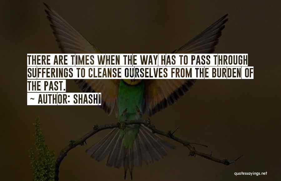 Lessons From The Past Quotes By Shashi
