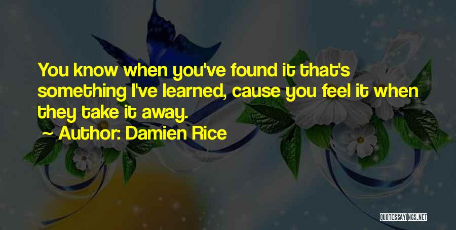 Lessons I've Learned Quotes By Damien Rice