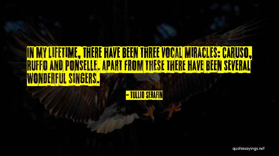Lessons Learned In Business Quotes By Tullio Serafin Lessons Learned In Business Quotes By Tullio Serafin