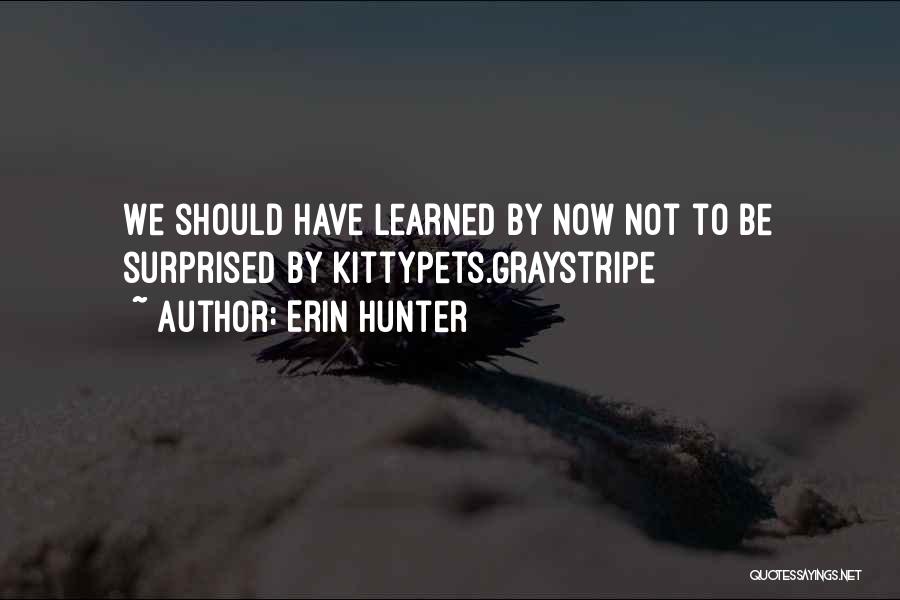 Lessons Not Learned Quotes By Erin Hunter