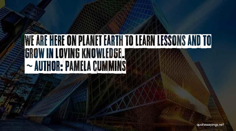 Lessons We Learn In Life Quotes By Pamela Cummins