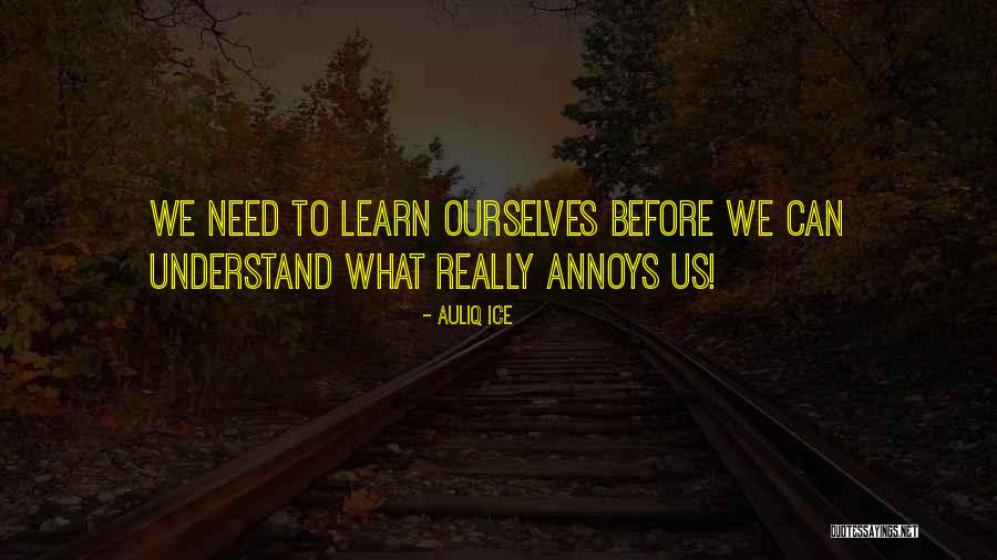 Lessons We Learn Quotes By Auliq Ice Lessons We Learn Quotes By Auliq Ice