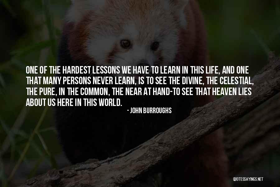Lessons We Learn Quotes By John Burroughs Lessons We Learn Quotes By John Burroughs