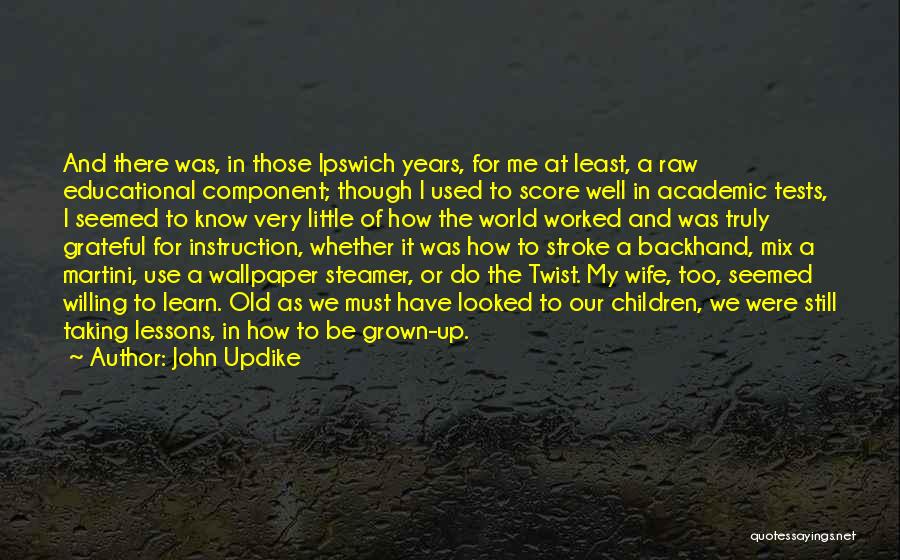 Lessons We Learn Quotes By John Updike