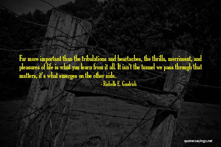 Lessons We Learn Quotes By Richelle E. Goodrich Lessons We Learn Quotes By Richelle E. Goodrich