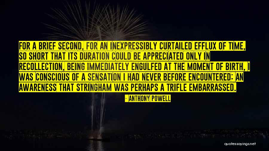 Lester Bang Quotes By Anthony Powell Lester Bang Quotes By Anthony Powell