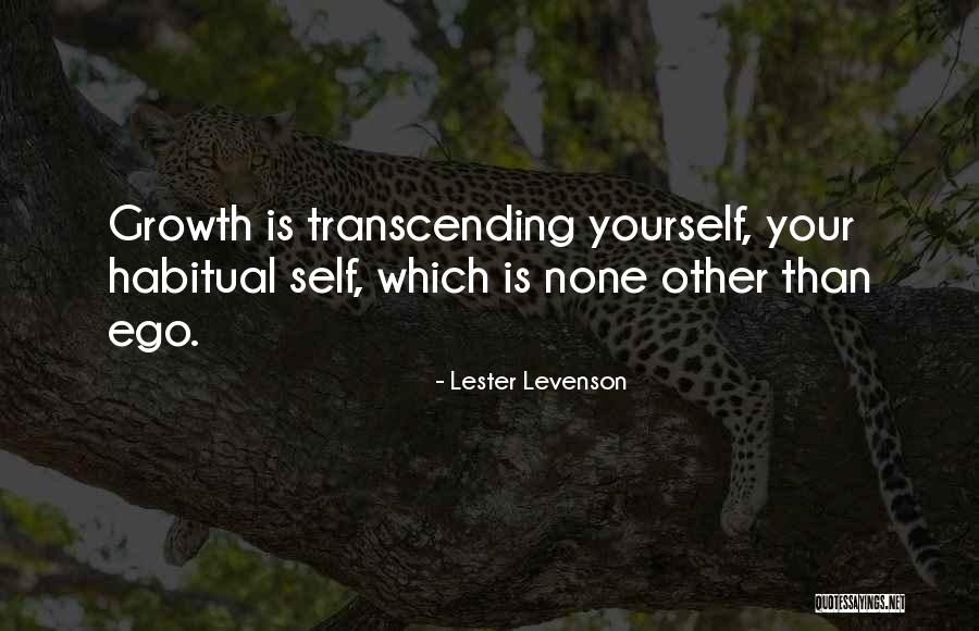 Lester Levenson Quotes 306469