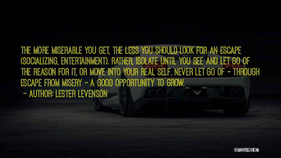 Lester Levenson Quotes 424420