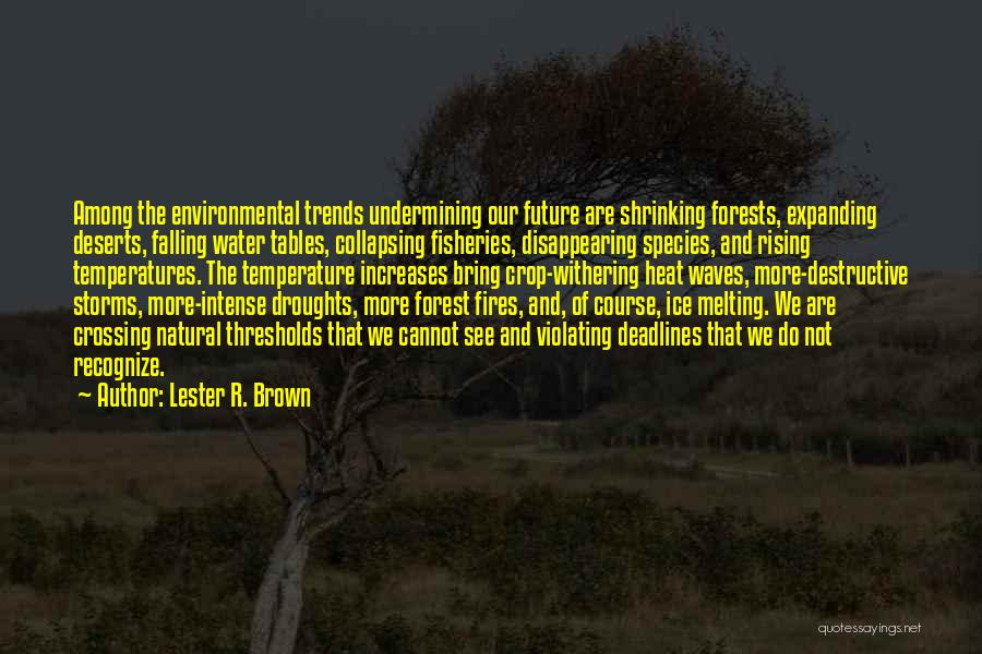 Lester R. Brown Quotes 1607268