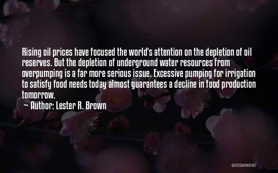 Lester R. Brown Quotes 712789