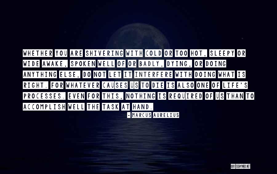 Lestomac De La Quotes By Marcus Aurelius Lestomac De La Quotes By Marcus Aurelius